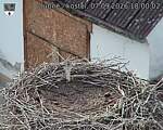Capi_Dubne_20260907_180002.jpg