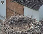 Capi_Dubne_20260907_180504.jpg