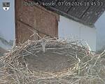 Capi_Dubne_20260907_184503.jpg