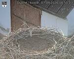 Capi_Dubne_20260907_185003.jpg
