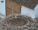 Capi_Dubne_20260907_191003.jpg