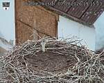 Capi_Dubne_20260907_191503.jpg