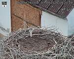 Capi_Dubne_20260907_192004.jpg