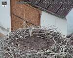 Capi_Dubne_20260907_192503.jpg