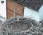 Capi_Dubne_20260907_194503.jpg