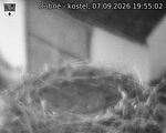 Capi_Dubne_20260907_195502.jpg