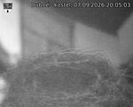 Capi_Dubne_20260907_200503.jpg
