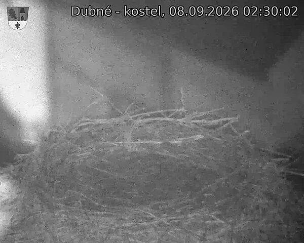 preload