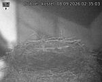 Capi_Dubne_20260908_023503.jpg