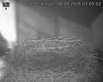 Capi_Dubne_20260908_030502.jpg