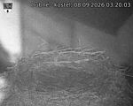 Capi_Dubne_20260908_032003.jpg