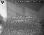 Capi_Dubne_20260908_032502.jpg