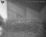 Capi_Dubne_20260908_035002.jpg