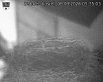 Capi_Dubne_20260908_053503.jpg
