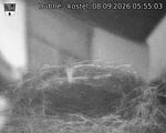 Capi_Dubne_20260908_055503.jpg