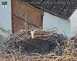 Capi_Dubne_20260908_064503.jpg