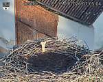 Capi_Dubne_20260908_070504.jpg
