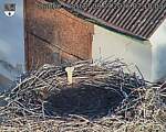 Capi_Dubne_20260908_071003.jpg