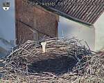 Capi_Dubne_20260908_072003.jpg