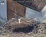 Capi_Dubne_20260908_073002.jpg