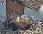 Capi_Dubne_20260908_075003.jpg