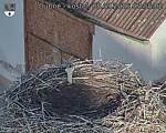 Capi_Dubne_20260908_075502.jpg