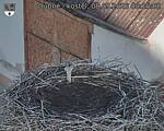 Capi_Dubne_20260908_081502.jpg