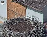 Capi_Dubne_20260908_124503.jpg