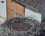 Capi_Dubne_20260908_132503.jpg