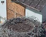 Capi_Dubne_20260908_134004.jpg