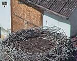 Capi_Dubne_20260908_134504.jpg