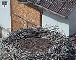 Capi_Dubne_20260908_140502.jpg