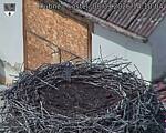 Capi_Dubne_20260908_141004.jpg