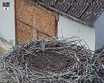 Capi_Dubne_20260908_143004.jpg