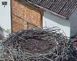 Capi_Dubne_20260908_144003.jpg