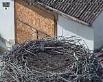 Capi_Dubne_20260908_151502.jpg