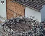 Capi_Dubne_20260908_155502.jpg