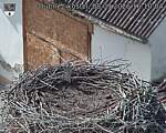 Capi_Dubne_20260908_161004.jpg