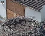 Capi_Dubne_20260908_161502.jpg