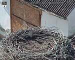 Capi_Dubne_20260908_162502.jpg
