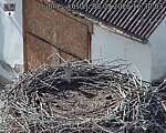 Capi_Dubne_20260908_163003.jpg
