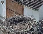 Capi_Dubne_20260908_163504.jpg