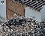 Capi_Dubne_20260908_164002.jpg