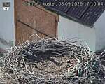 Capi_Dubne_20260908_171004.jpg