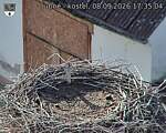 Capi_Dubne_20260908_173504.jpg