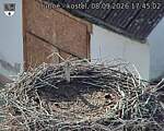 Capi_Dubne_20260908_174502.jpg