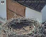 Capi_Dubne_20260908_175003.jpg