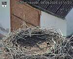 Capi_Dubne_20260908_175503.jpg