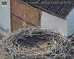 Capi_Dubne_20260908_180004.jpg
