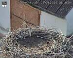 Capi_Dubne_20260908_181004.jpg